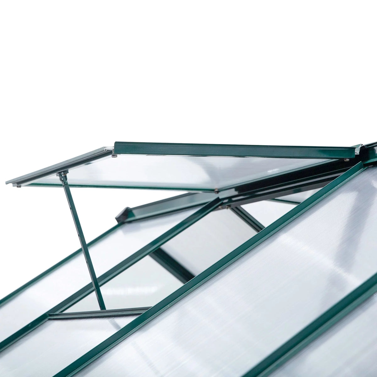 6' x 10' x 7' Polycarbonate Walk-in Greenhouse W351936