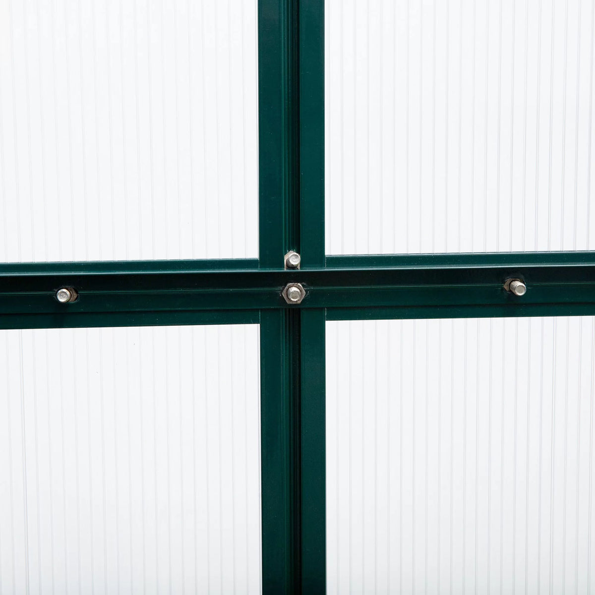 6' x 10' x 7' Polycarbonate Walk-in Greenhouse W351936