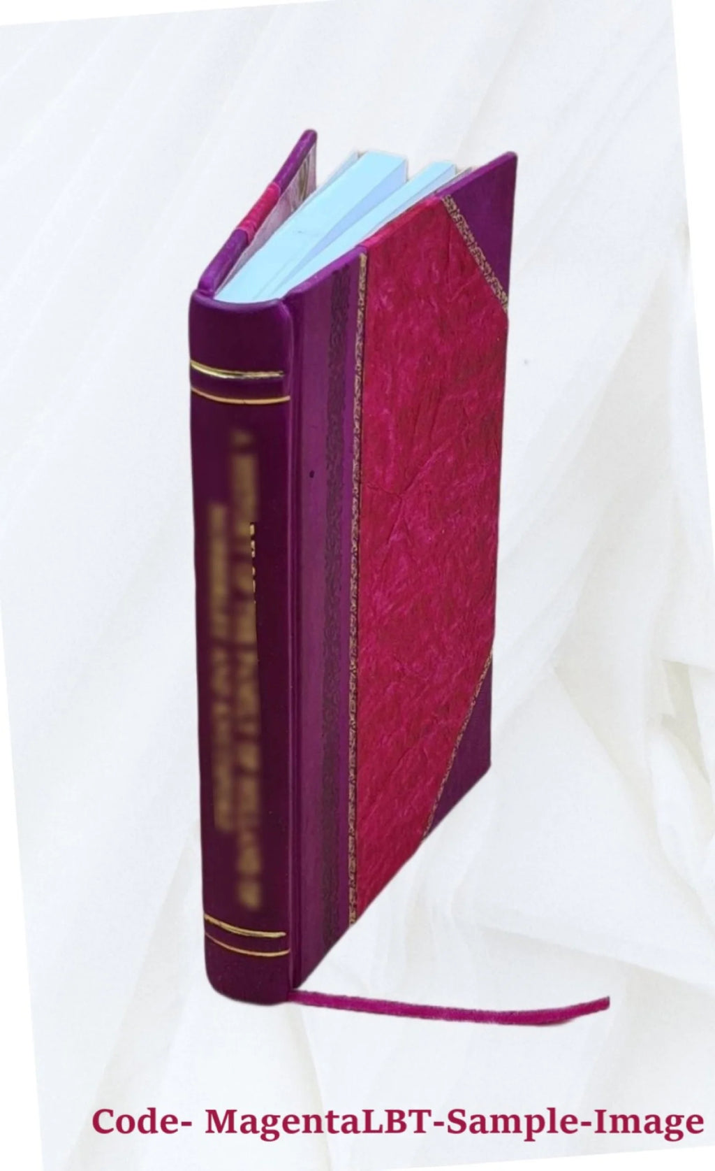 Internationale compte-rendu des débats Chambre de police correctionnelle de Toulouse 38 prévenus Leather Bound I3415