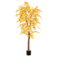 6& Golden Aspen Deluxe Y763