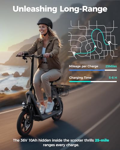 Electric Scooter with Seat, Front Suspension, Turn Signal C13196