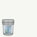 White Interior Paint (5-Gallon) I271773