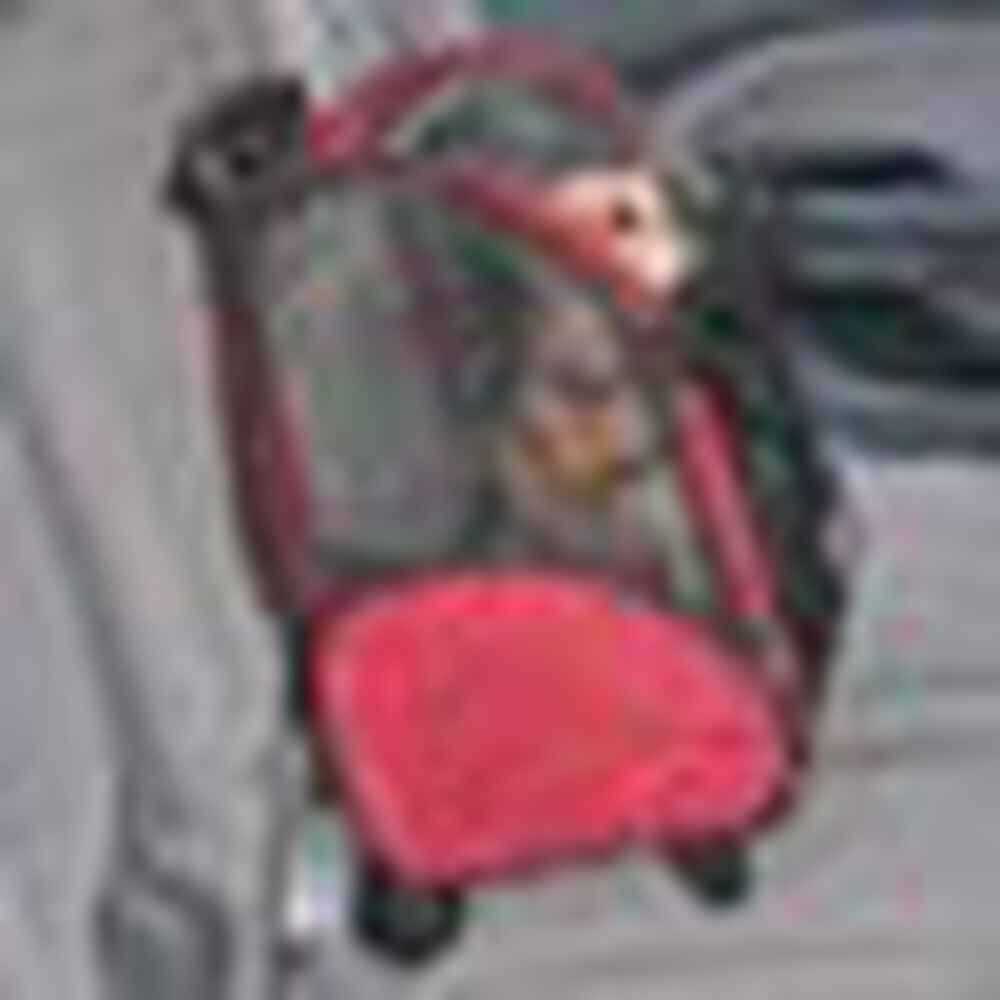 Travel Pet Carrier J1668
