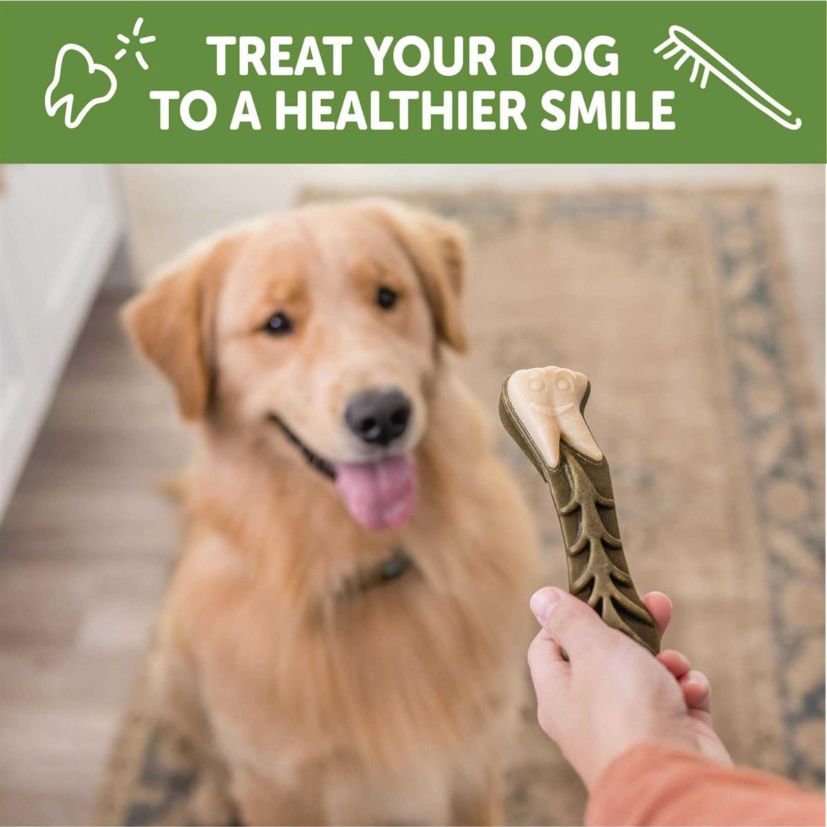 Large Natural Dental Dog Treats V4363