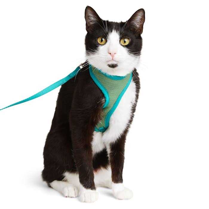 Green Cat Harness M232828