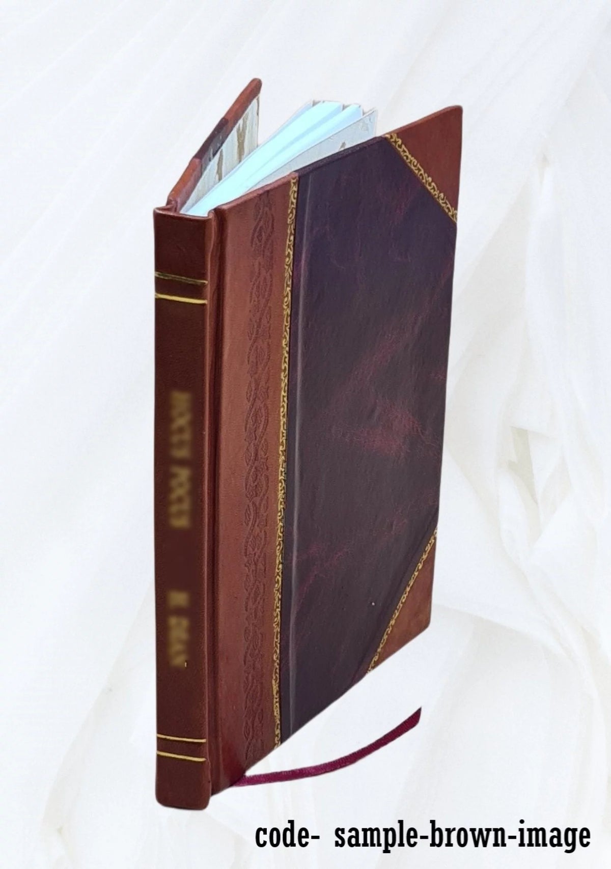 Internationale compte-rendu des débats Chambre de police correctionnelle de Toulouse 38 prévenus Leather Bound I3415