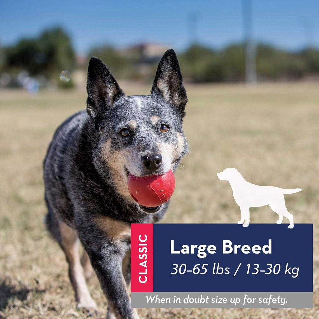 Dog Toy Ball D899