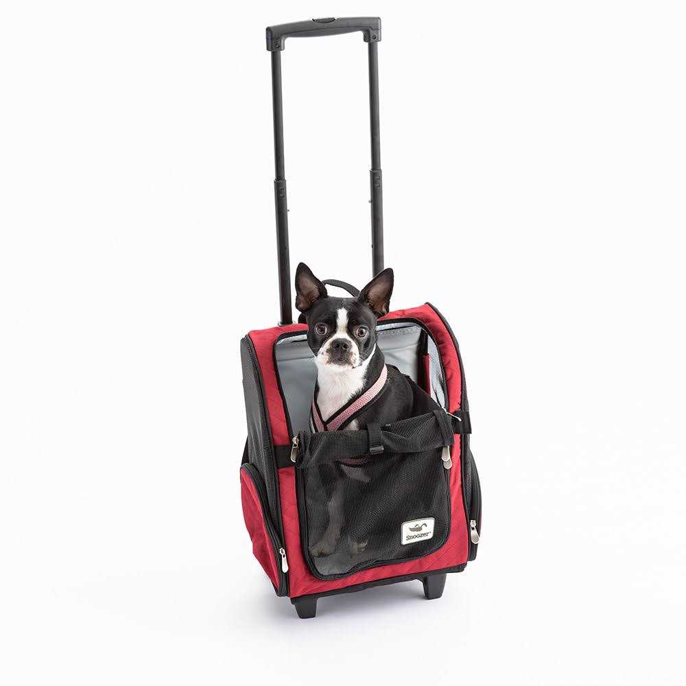 Travel Pet Carrier J1668