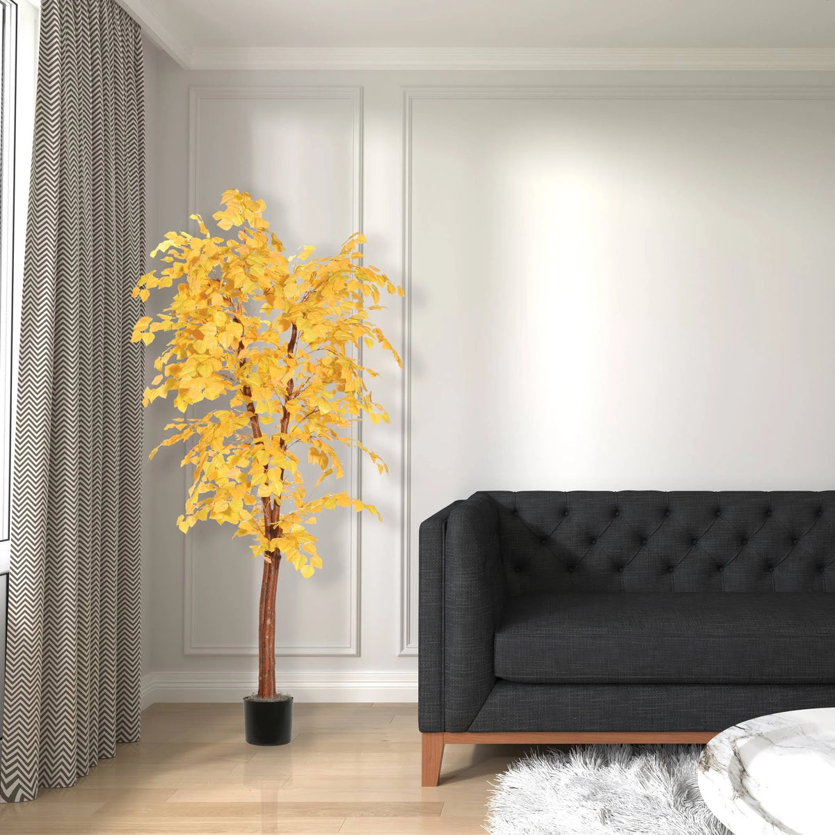6& Golden Aspen Deluxe Y763