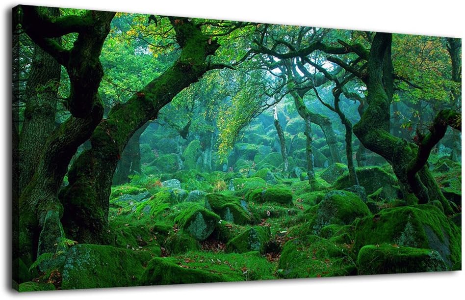 Framed Abstract Canvas Wall Art 20 x 40 N36315