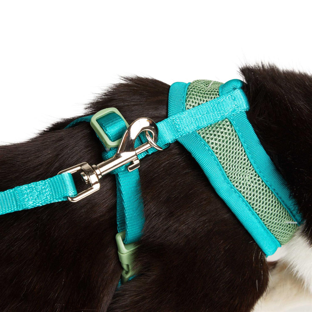 Green Cat Harness M232828