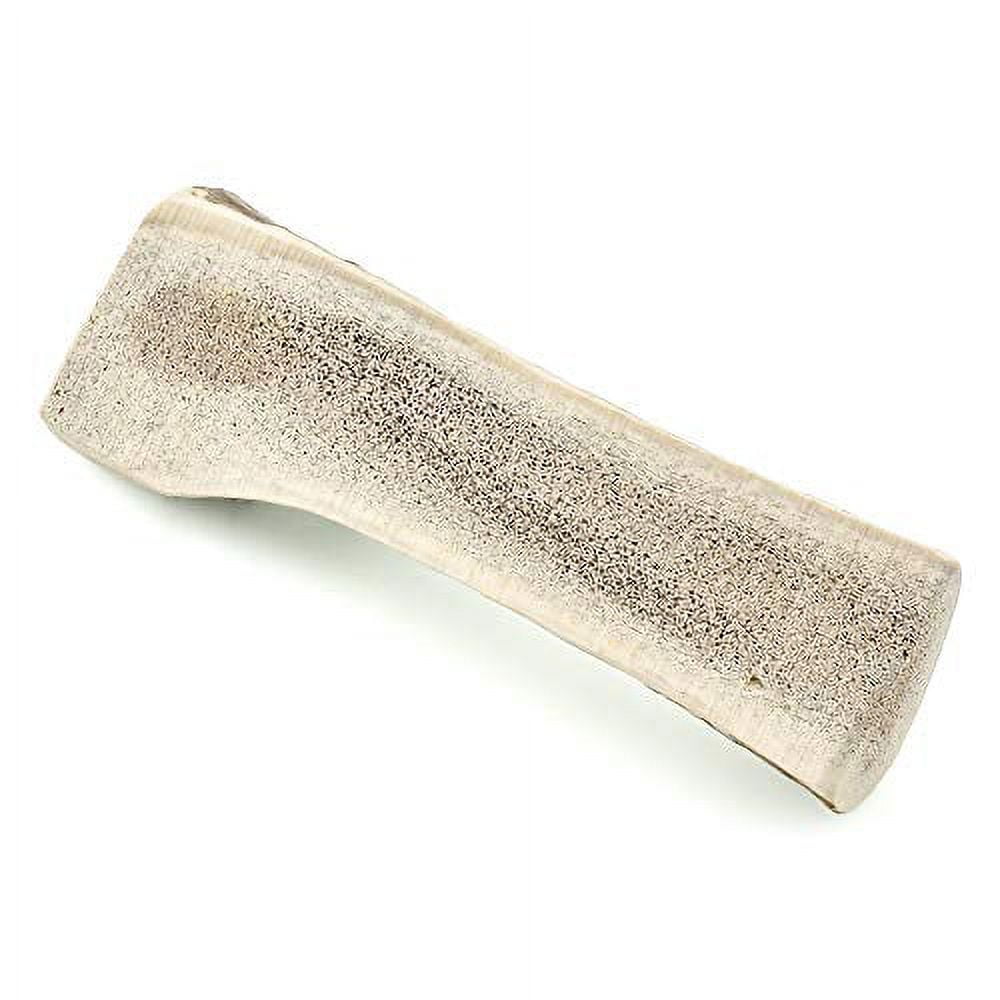 Elk Antler Dog Chews Z681