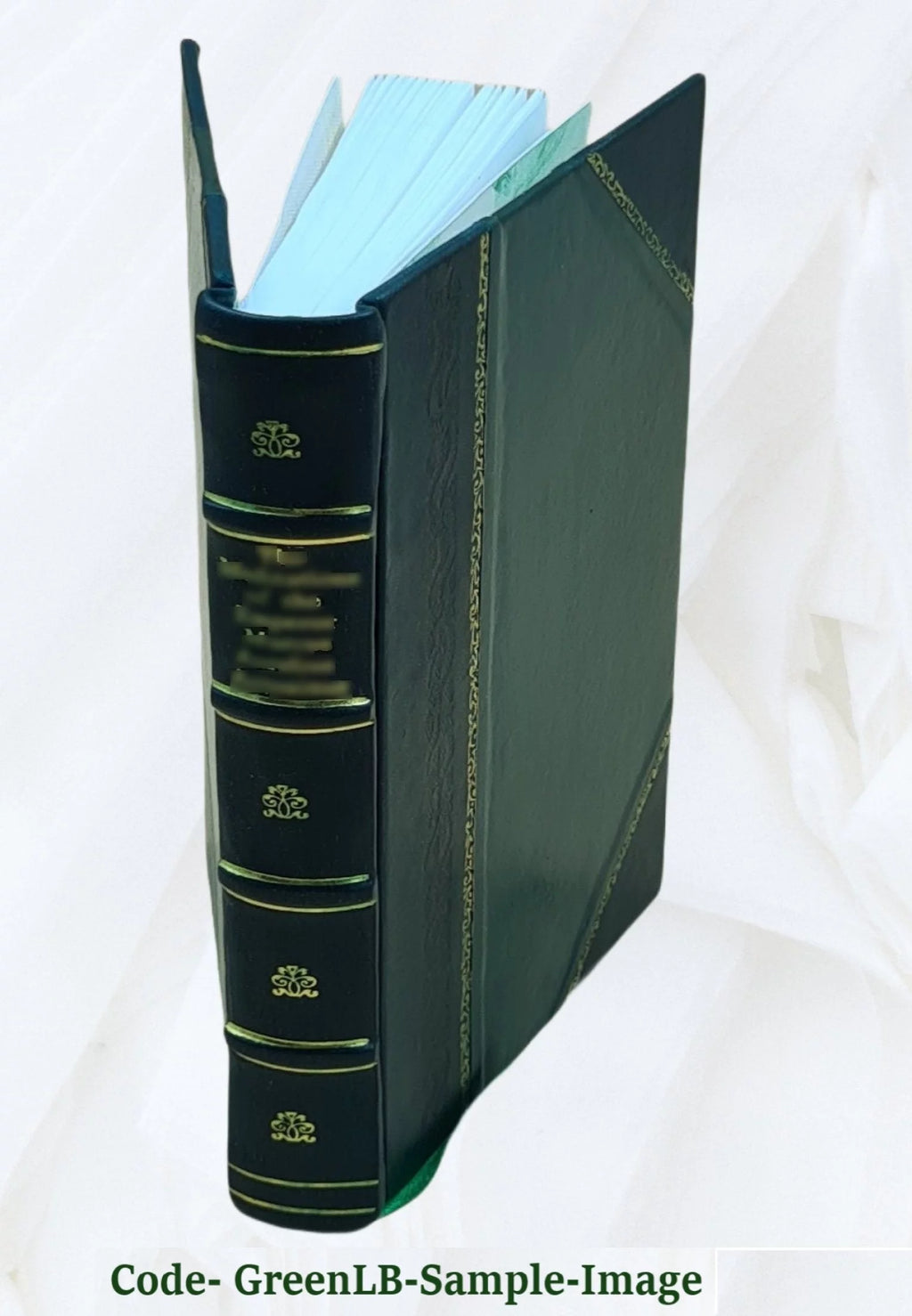 Extraits de l'Histoire naturelle de Pline Volume v. 1 Leather Bound Z856