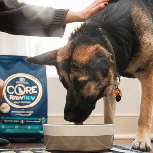 Grain Free Whitefish Dog Food D555